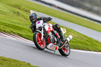 Oulton-Park-14th-March-2020;PJ-Motorsport-Photography-2020;anglesey;brands-hatch;cadwell-park;croft;donington-park;enduro-digital-images;event-digital-images;eventdigitalimages;mallory;no-limits;oulton-park;peter-wileman-photography;racing-digital-images;silverstone;snetterton;trackday-digital-images;trackday-photos;vmcc-banbury-run;welsh-2-day-enduro